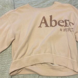 Abercrombie & Fitch Pink Cropped Crewneck